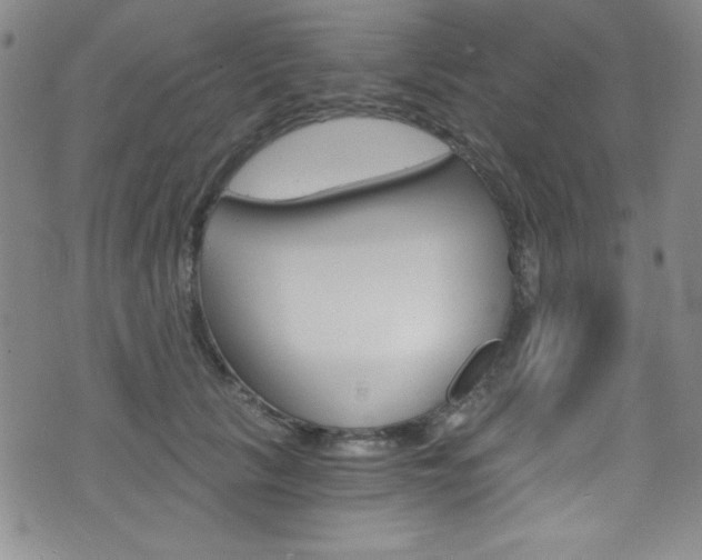 X0000072950657200607210933