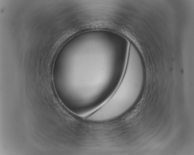 X0000072950673200607210933