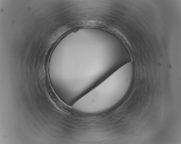 X0000072950674200607210933