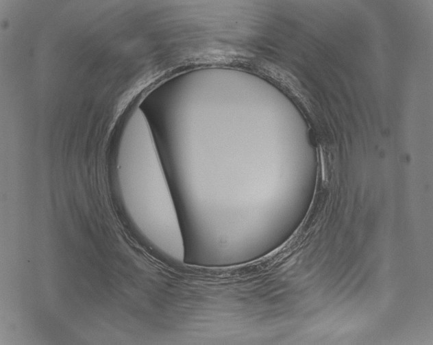 X0000072950675200607210933