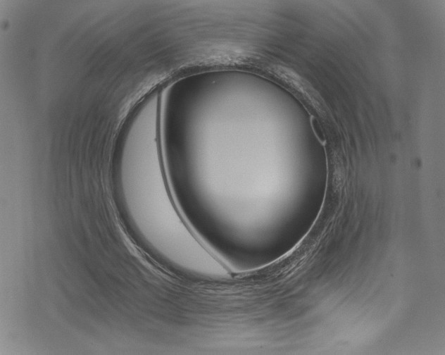 X0000072950677200607210933