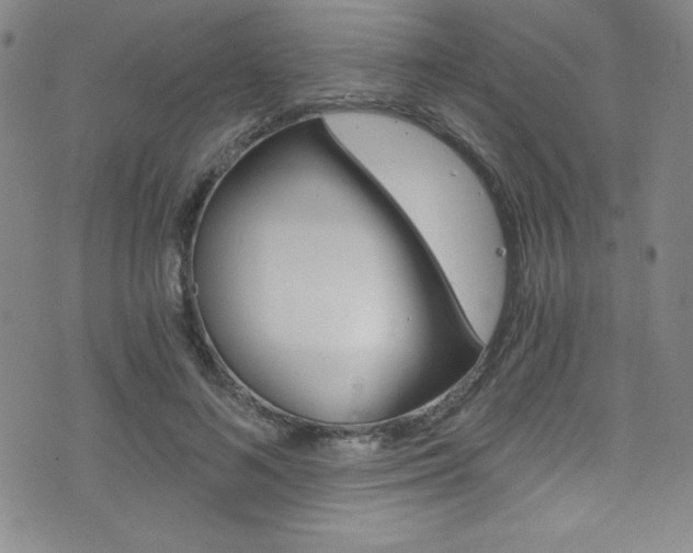 X0000072950692200607210932