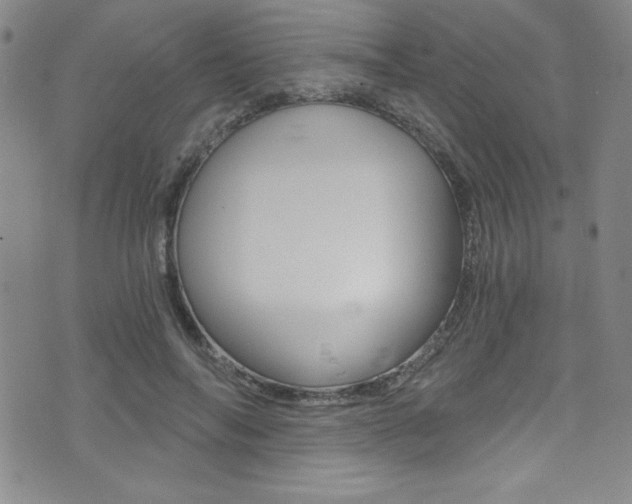 X0000072950694200607210932