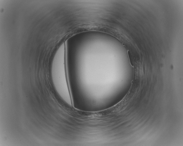 X0000072950700200607210932