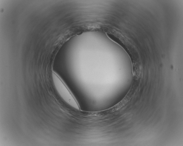 X0000072950704200607210932