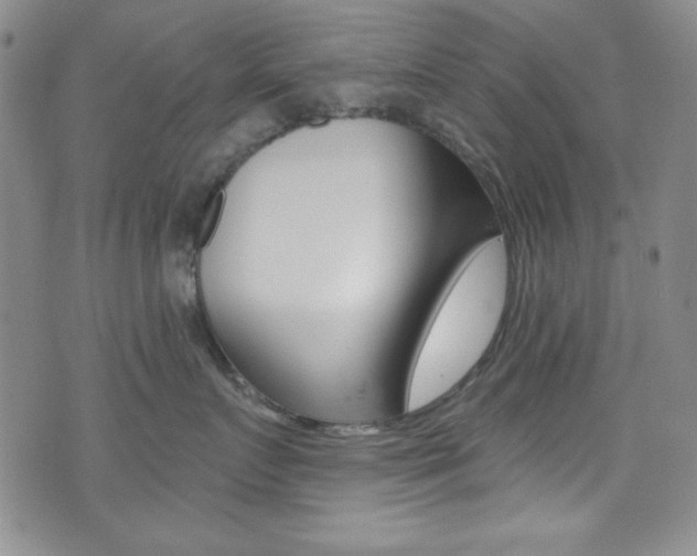 X0000072950719200607210932