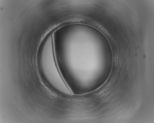 X0000072950722200607210931