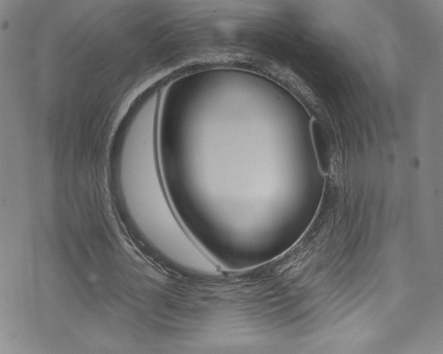 X0000072950724200607210931