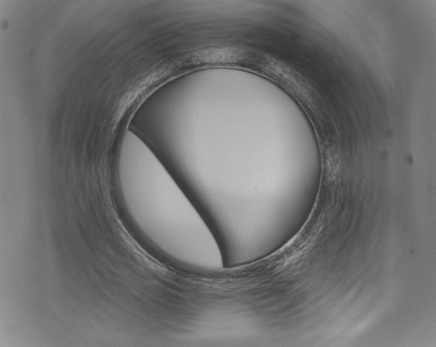X0000072950725200607210931