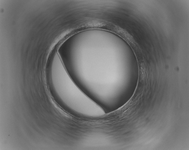 X0000072950726200607210931