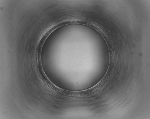 X0000072950727200607210931