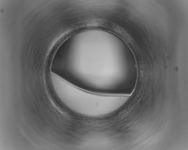 X0000072950728200607210931