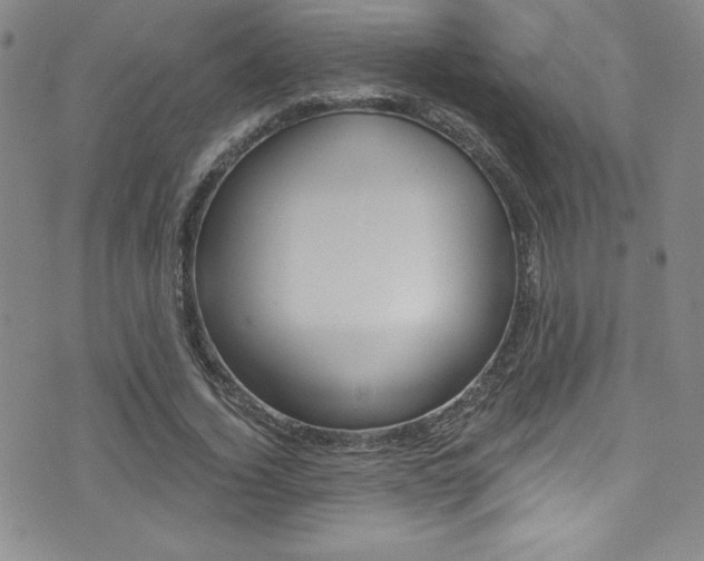 X0000072950732200607210931