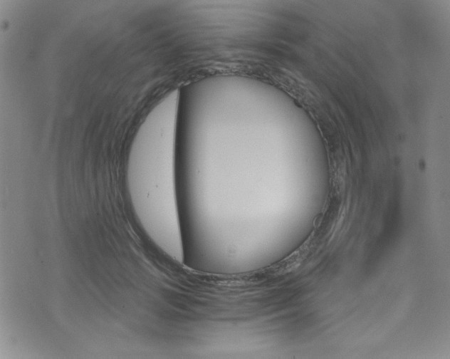 X0000072950749200607210932