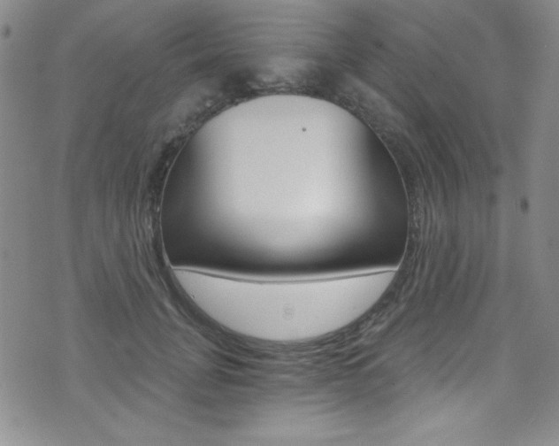 X0000072950751200607210932