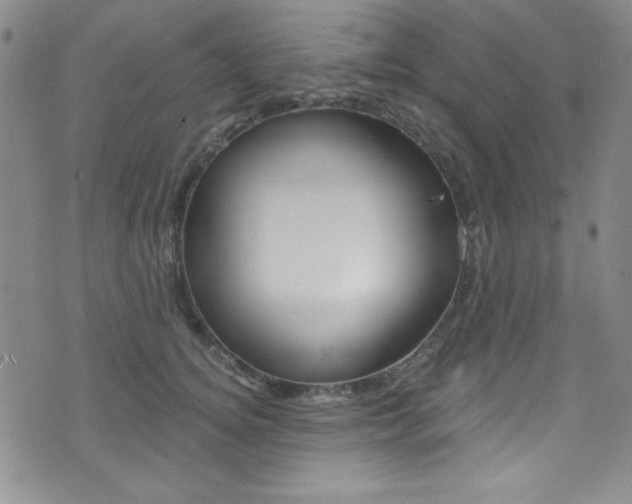 X0000072950756200607210932