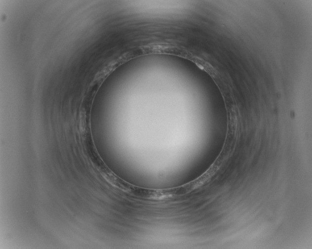 X0000072950760200607210932