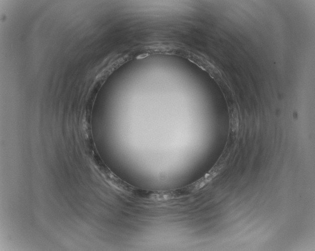 X0000072950764200607210932