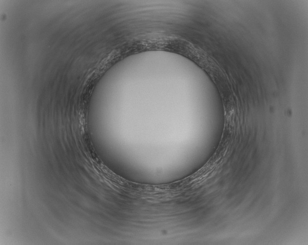 X0000072950772200607210931