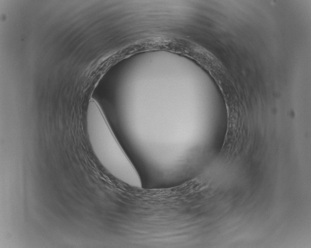 X0000072950773200607210931