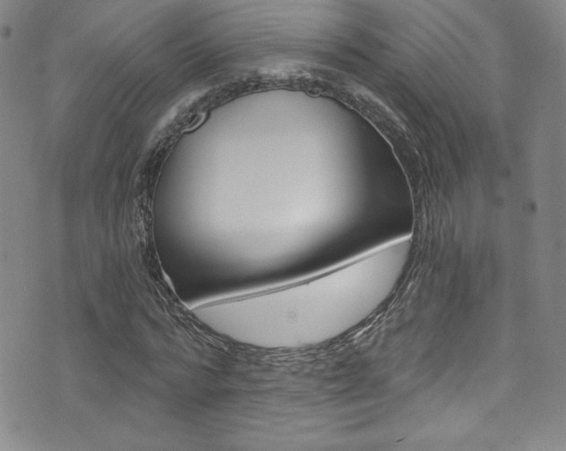 X0000072950776200607210931