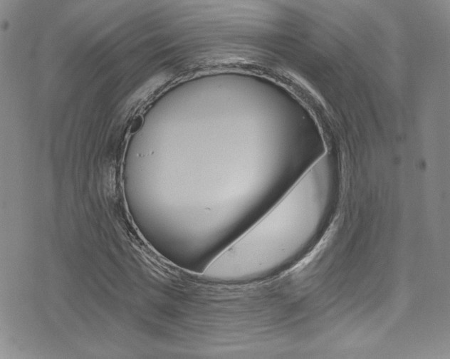 X0000072950777200607210931