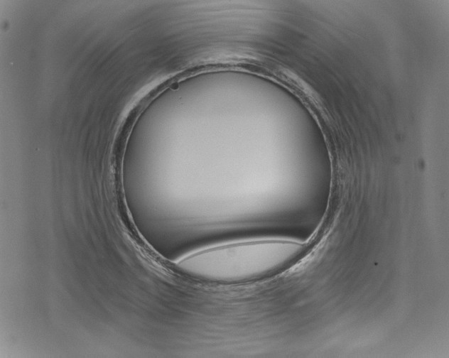 X0000072950779200607210931