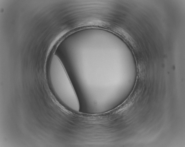 X0000072950780200607210931