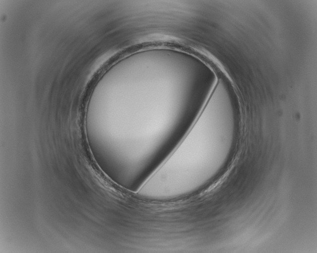 X0000072950783200607210931