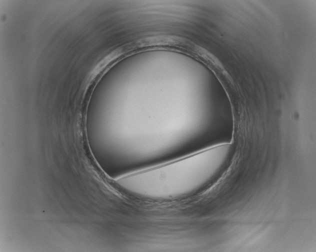 X0000072950786200607210931
