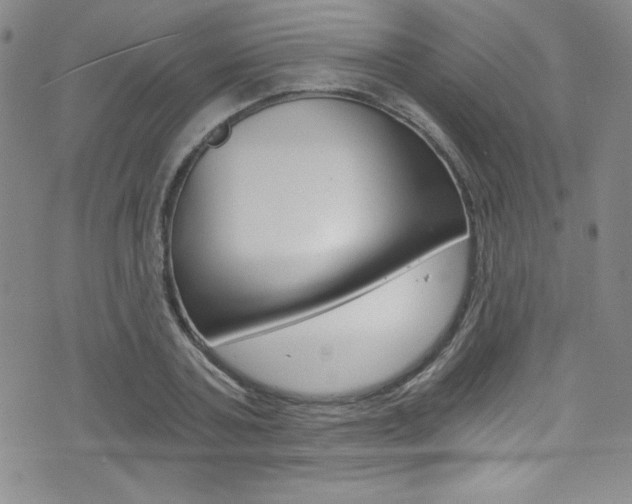 X0000072950787200607210931