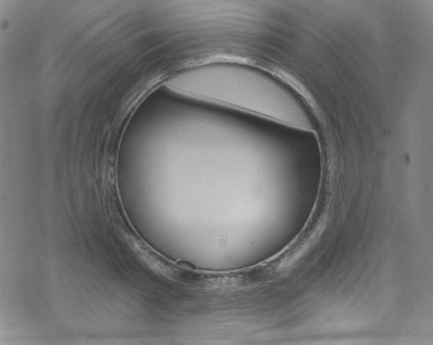 X0000072950793200607210931