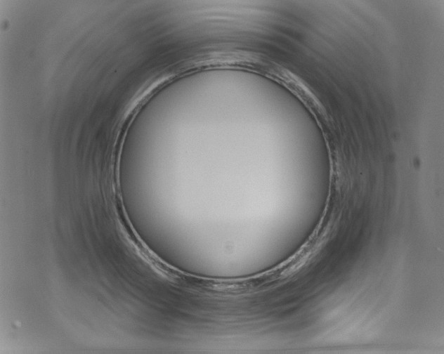 X0000072950794200607210931