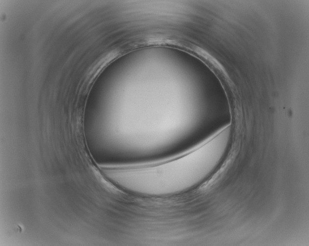X0000072950801200607210931