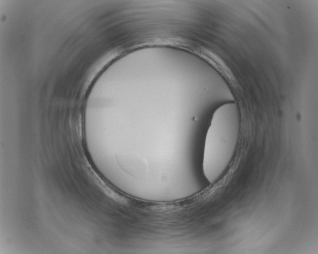 X0000072950804200607210931