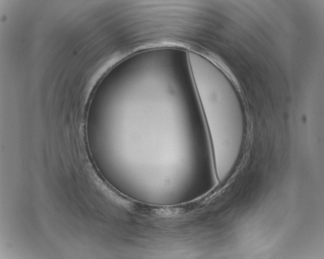 X0000072950805200607210931