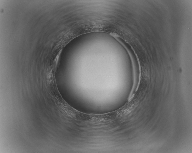 X0000072950818200607210930