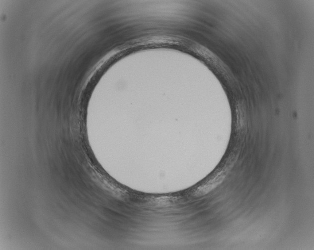 X0000072950828200607210930