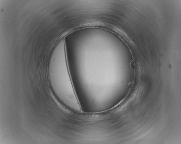 X0000072950841200607210930