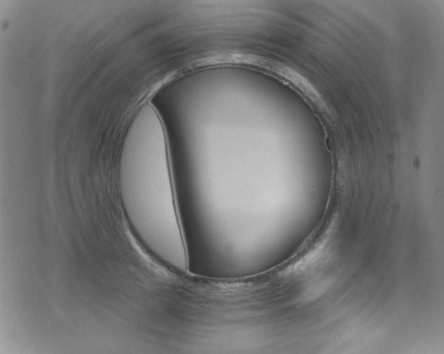 X0000072950849200607210930