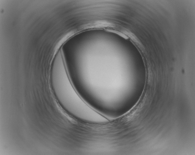 X0000072950850200607210930