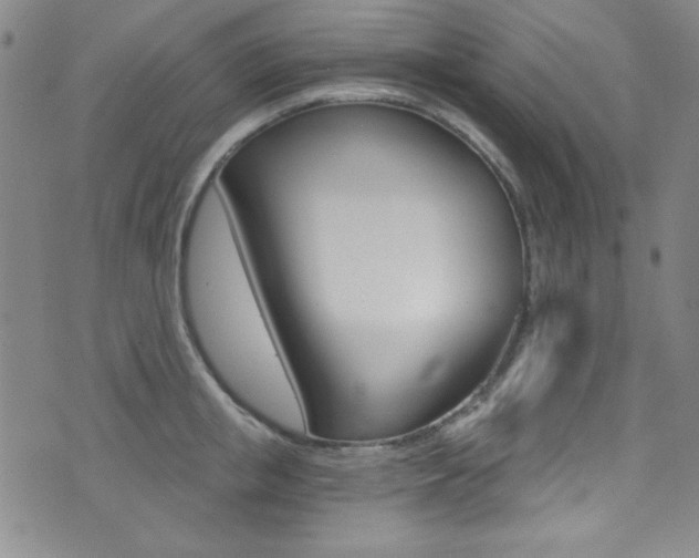 X0000072950853200607210930