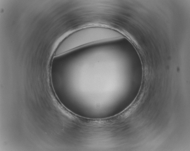 X0000072950854200607210930