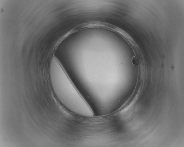 X0000072950857200607210930