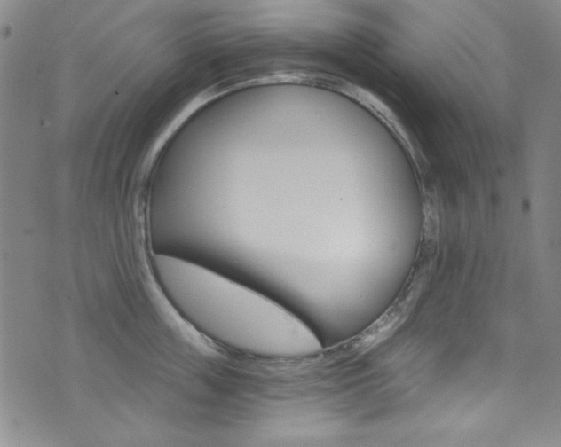 X0000072950859200607210930