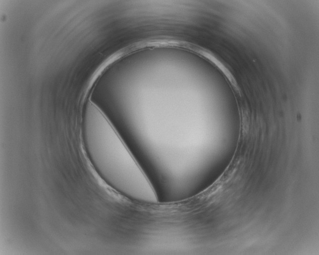 X0000072950861200607210930