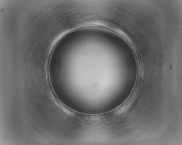 X0000072950862200607210930