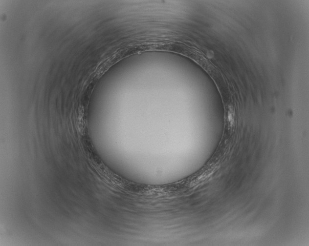 X0000072950867200607210930
