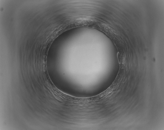X0000072950868200607210930