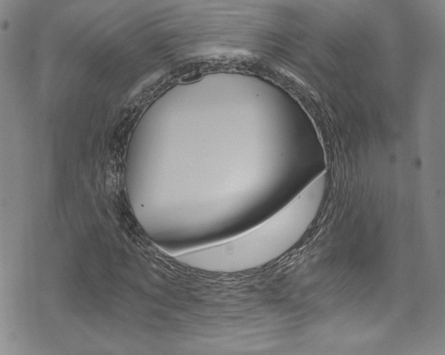 X0000072950869200607210930